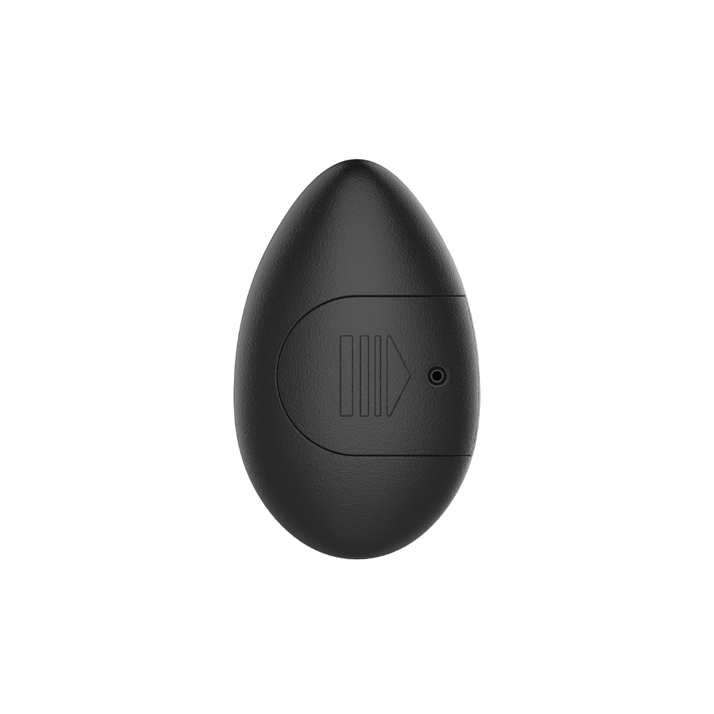Beginner Prostatic Vibrator con doppio motore - Sinsfactory - immagine 7