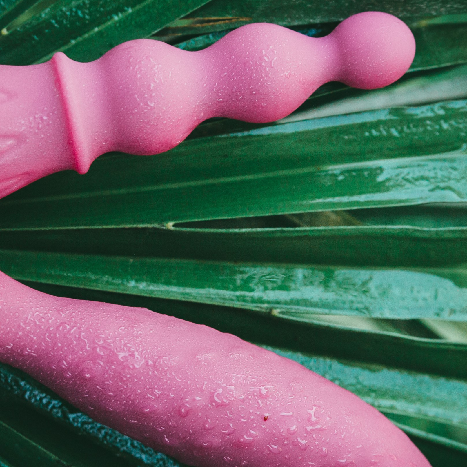 Sexy shop online ad Ancona