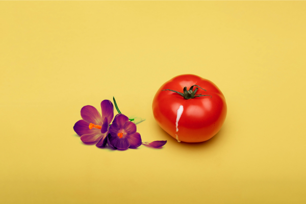 Pomodoro con della panna sopra e un fiore: quando bere lo sperma diventa un'esperienza dal sapore "mediterraneo"